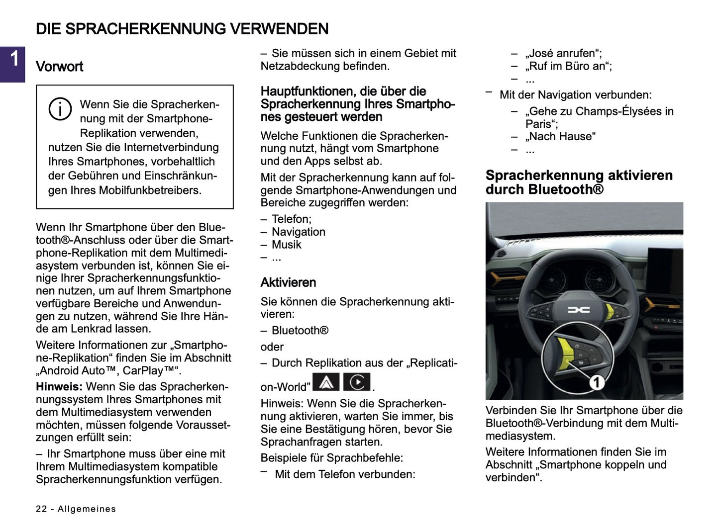 2024-2025 Dacia Media Nav Live Infotainment Manual | German