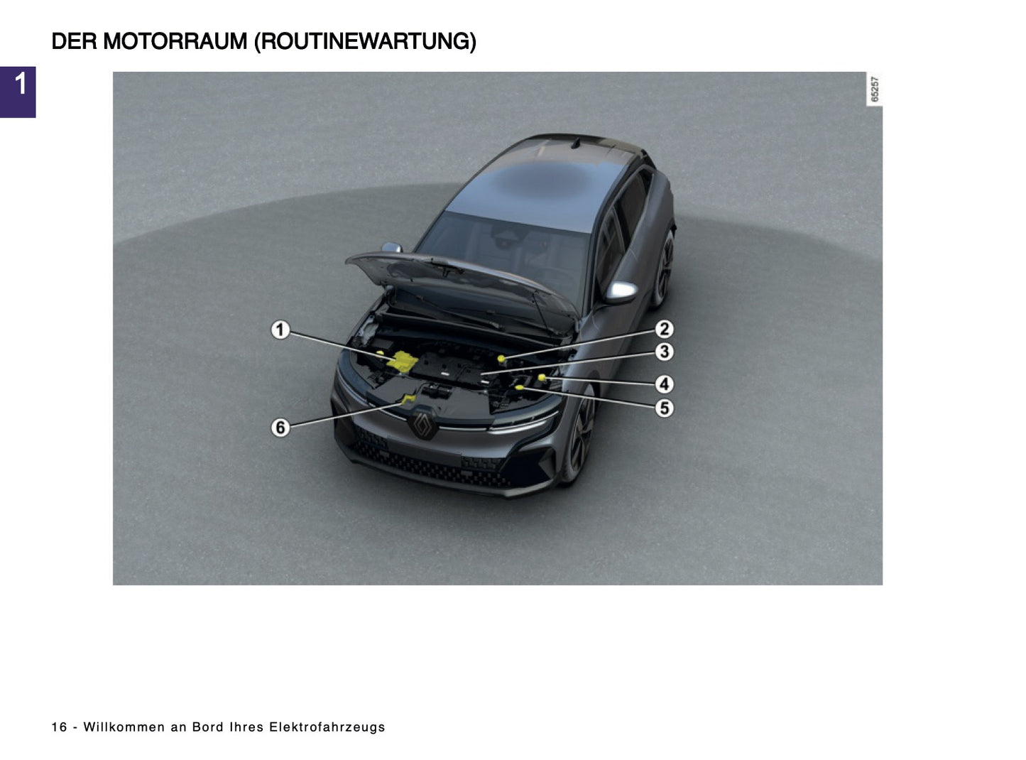 2024-2025 Renault Megane E-Tech Owner's Manual | German