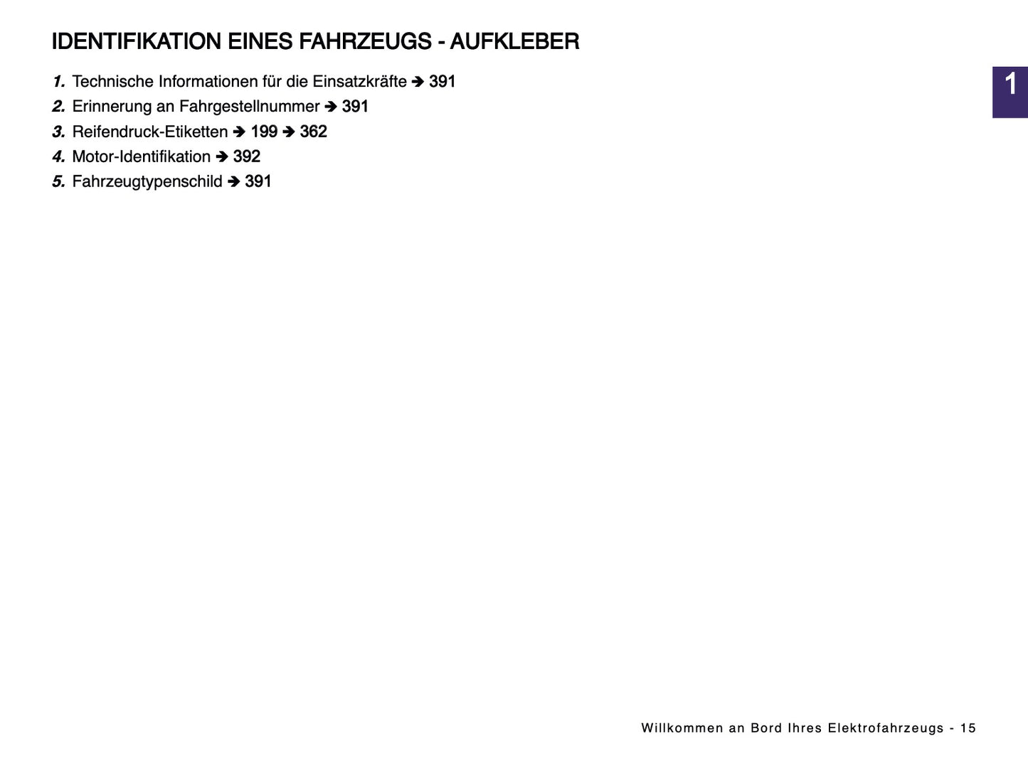2024-2025 Renault Scenic E-Tech Owner's Manual | German
