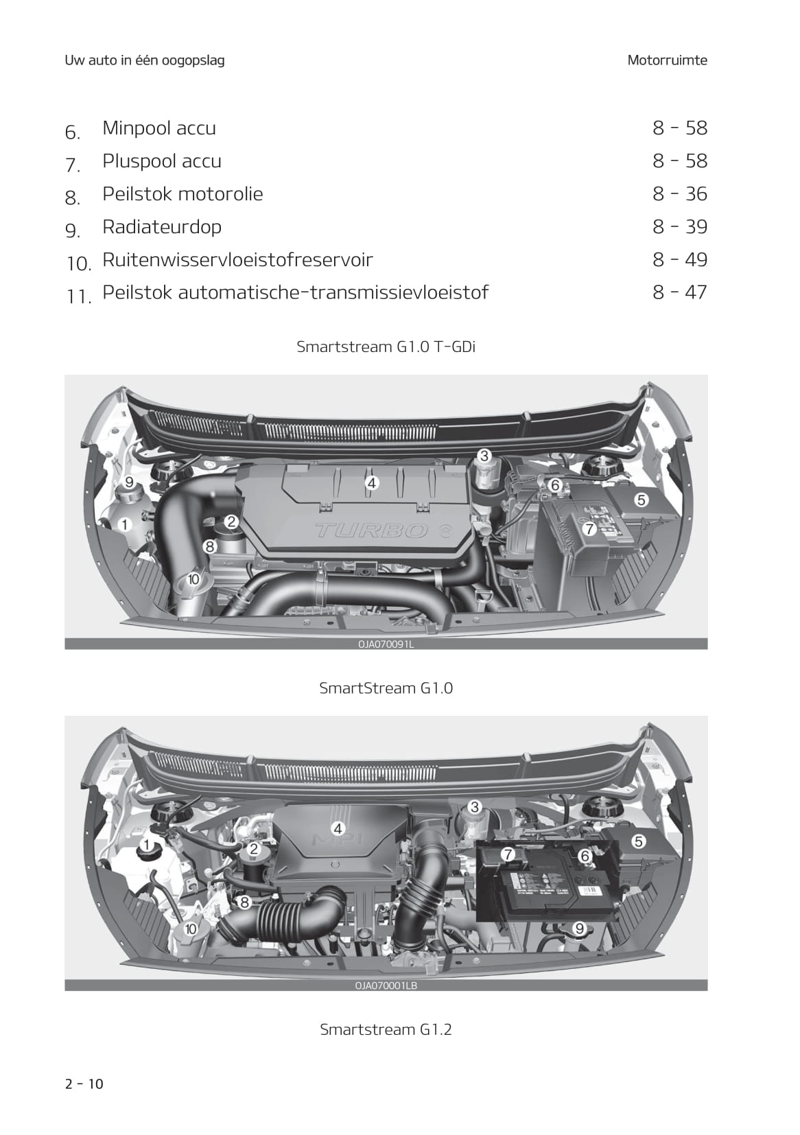 2020-2021 Kia Picanto Bedienungsanleitung | Niederländisch
