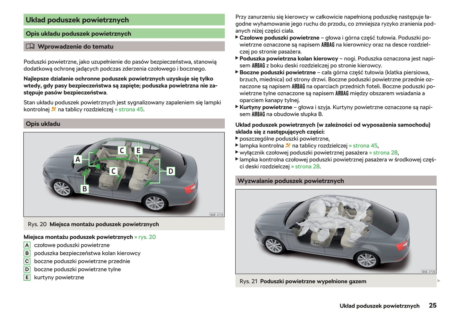 2017-2019 Skoda Octavia Bedienungsanleitung | Polnisch