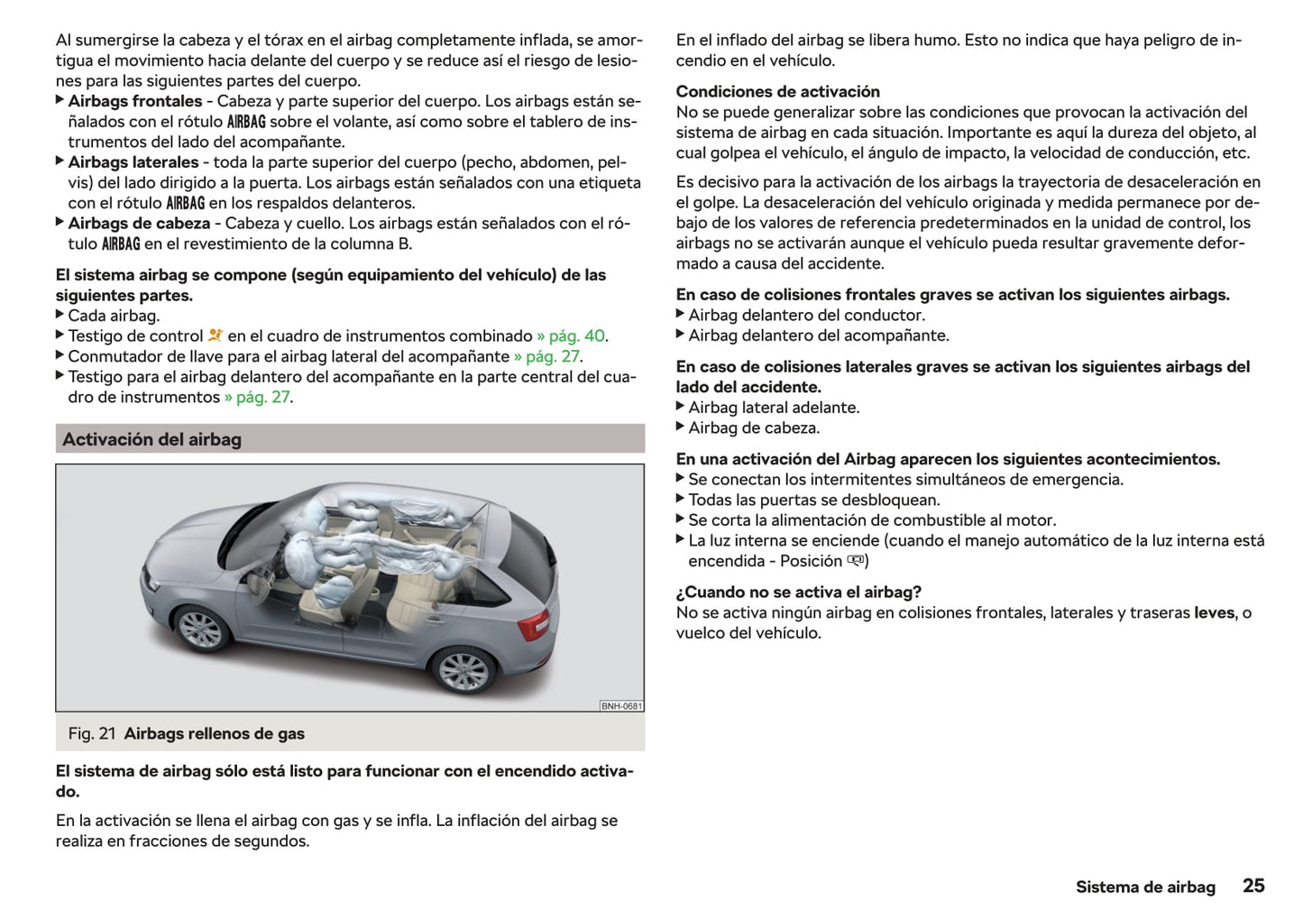 2017-2019 Skoda Rapid Manuel du propriétaire | Espagnol