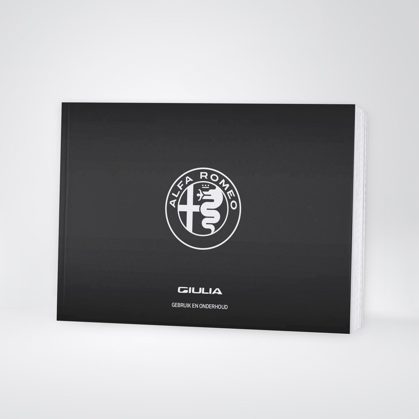 2020 Alfa Romeo Giulia Owner's Manual | Dutch