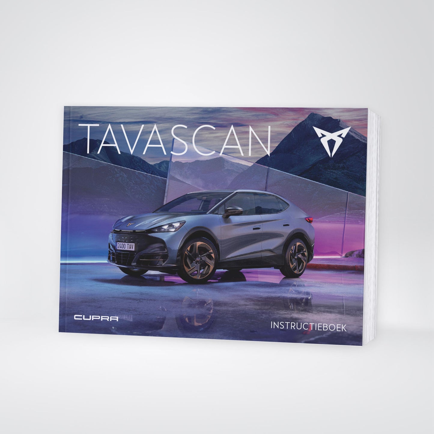 2024-2025 Cupra Tavascan Owner's Manual | Dutch