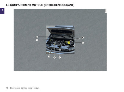 2024-2025 Dacia Duster Owner's Manual | French