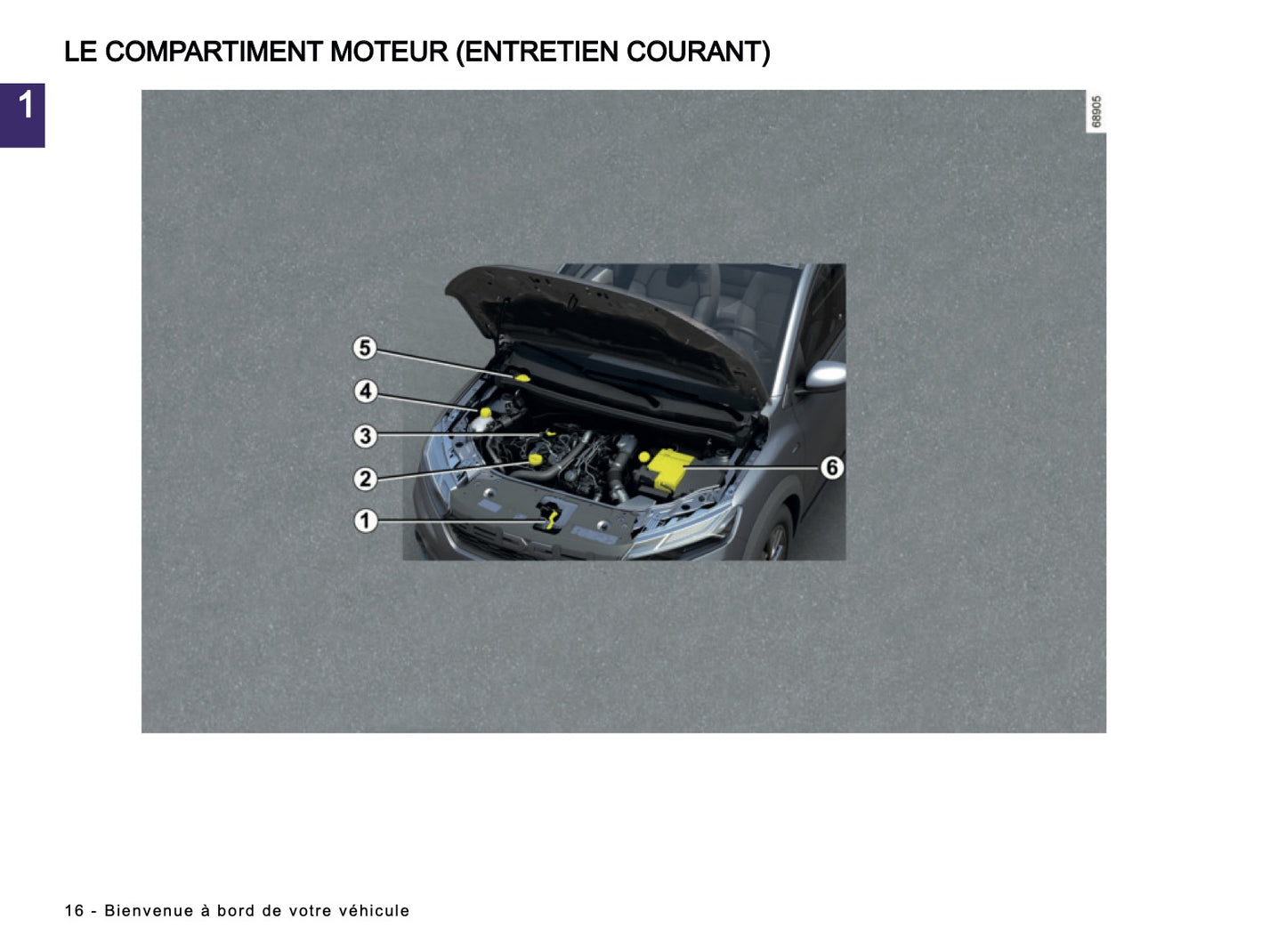 2024-2025 Dacia Sandero/Sandero Stepway Manuel du propriétaire | Français