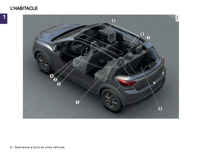 2024-2025 Dacia Sandero/Sandero Stepway Manuel du propriétaire | Français