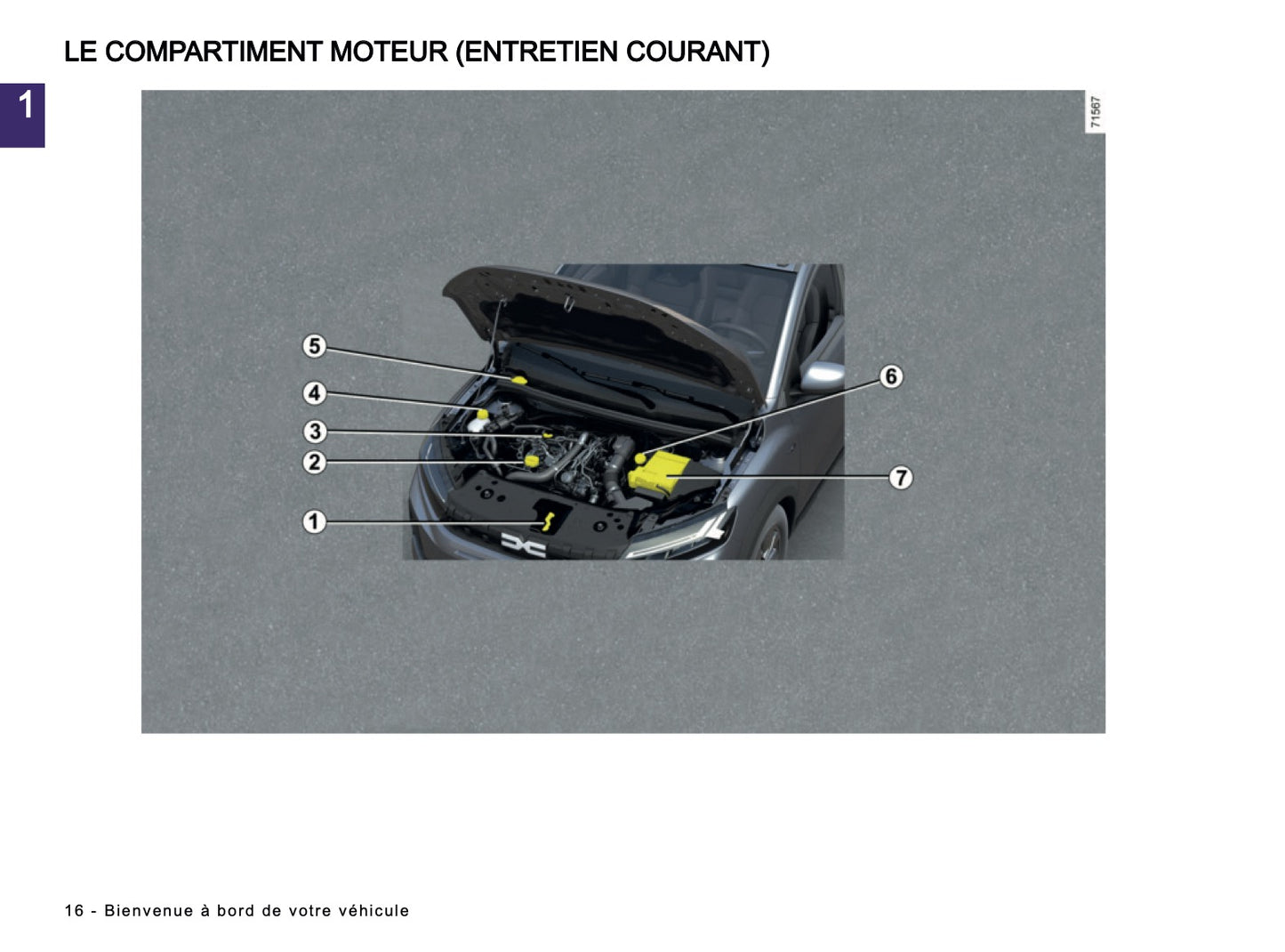 2025-2026 Dacia Sandero/Sandero Stepway Manuel du propriétaire | Français