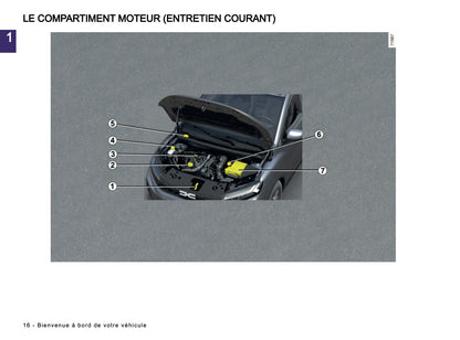 2025-2026 Dacia Sandero/Sandero Stepway Manuel du propriétaire | Français
