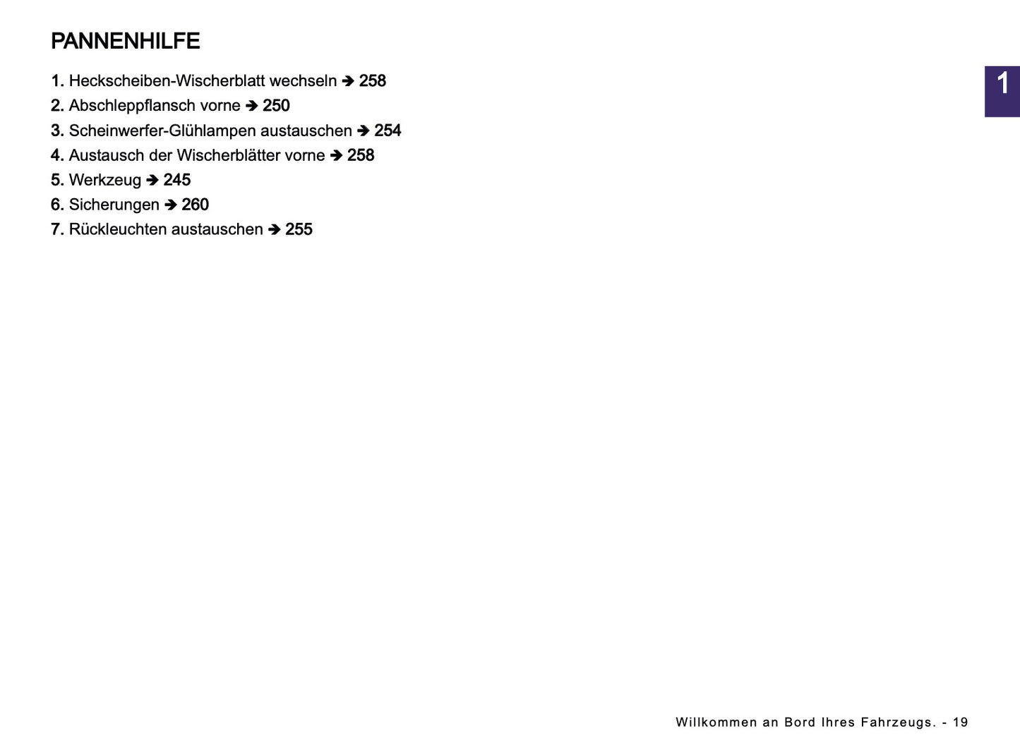 2026 Dacia Spring Electric Owner's Manual | German