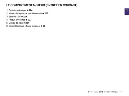 2026 Dacia Spring Electric Manuel du propriétaire | Français