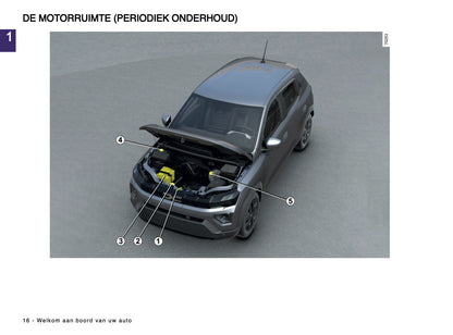 2024-2025 Dacia Spring Electric Gebruikershandleiding | Nederlands