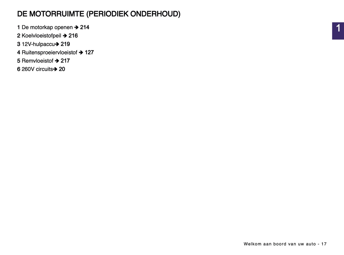 2024-2025 Dacia Spring Electric Gebruikershandleiding | Nederlands