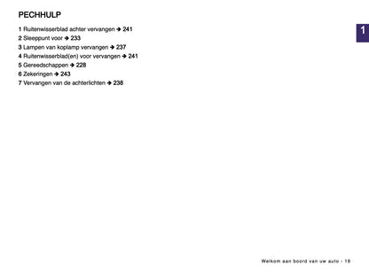 2024-2025 Dacia Spring Electric Gebruikershandleiding | Nederlands