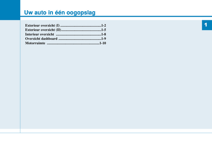 2017-2018 Hyundai i20 Gebruikershandleiding | Nederlands