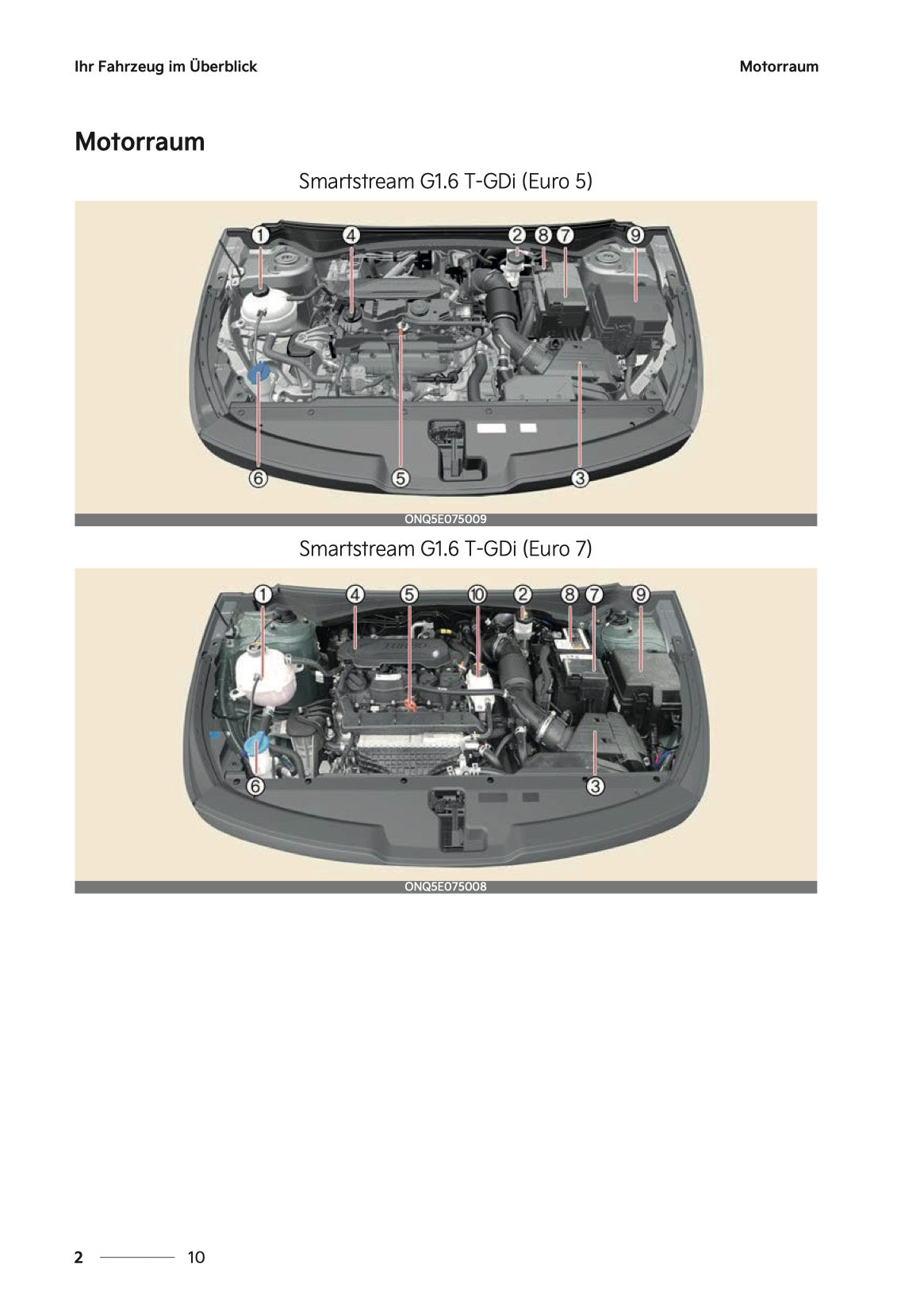 2026 Kia Sportage/Sportage Hybrid Owner's Manual | German