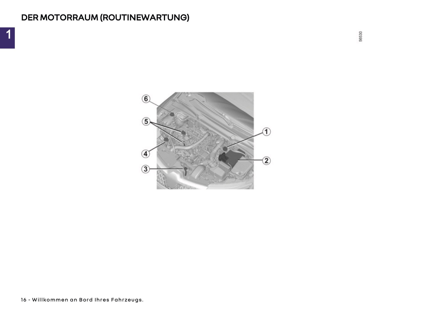 2024-2025 Renault Arkana Owner's Manual | French
