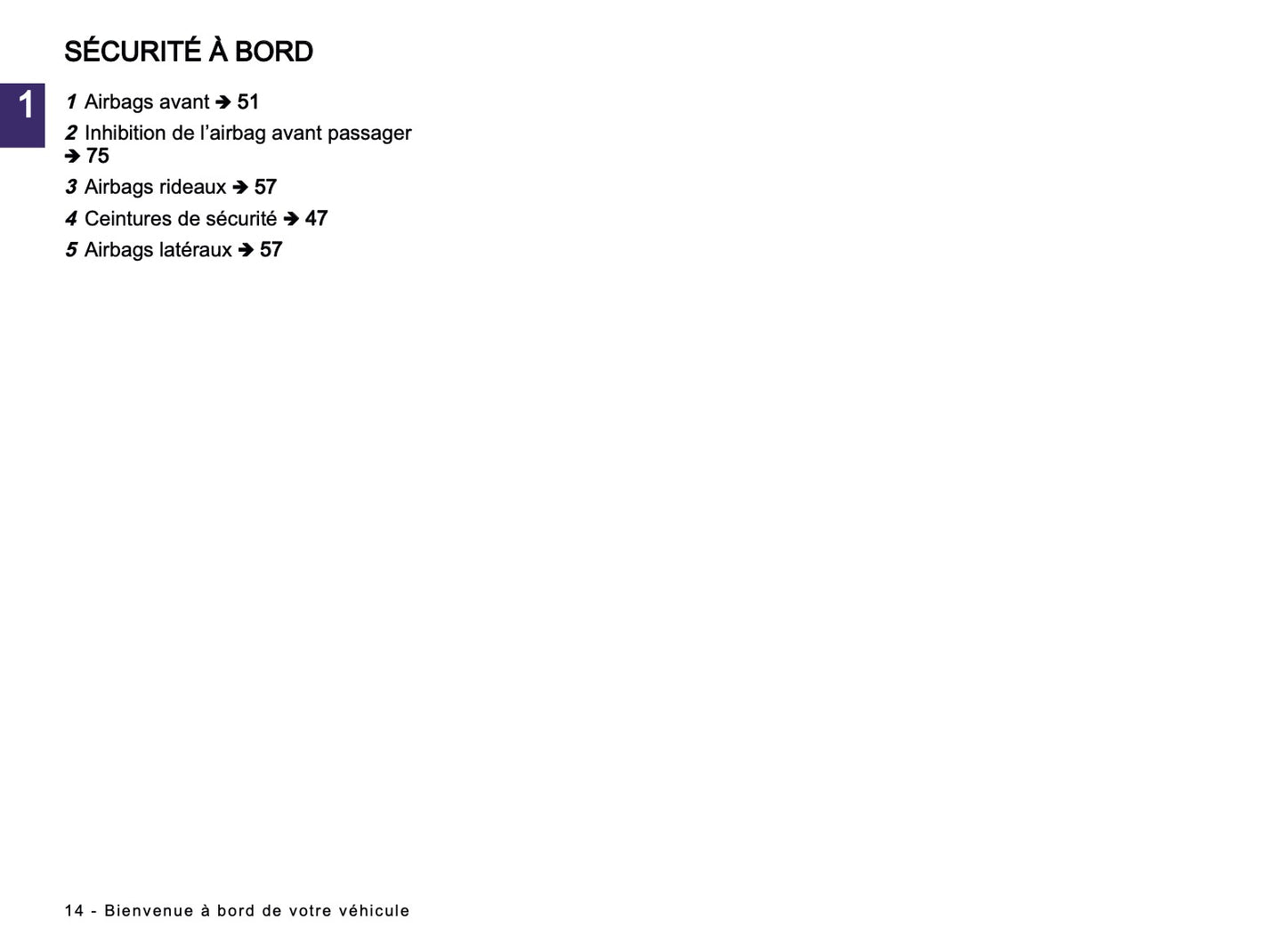 2024-2025 Renault Arkana Manuel du propriétaire | Français
