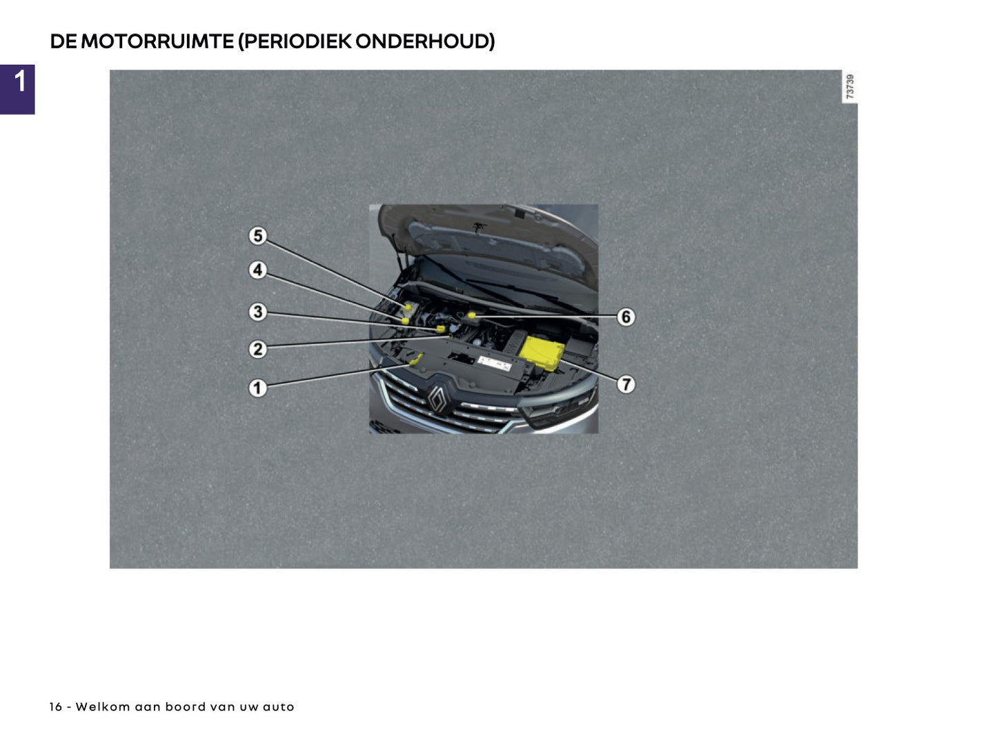 2026 Renault Kangoo Owner's Manual | Dutch