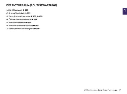 2026 Renault Rafale Owner's Manual | German