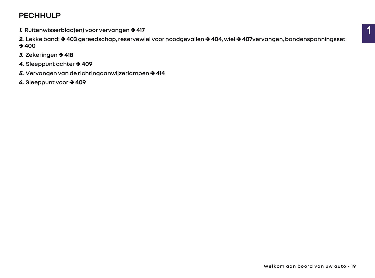 2026 Renault Rafale Owner's Manual | Dutch