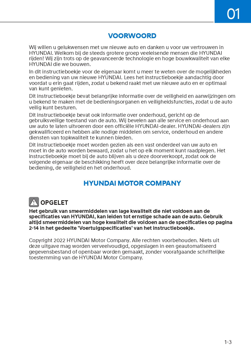 2022-2023 Hyundai Ioniq 5 Gebruikershandleiding | Nederlands