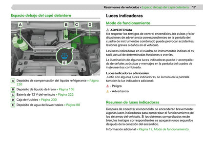 2020-2021 Skoda Enyaq iV Owner's Manual | Spanish