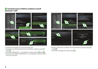 2017 Skoda Connect Gebruikershandleiding | Spaans