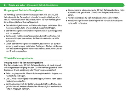 2020-2023 Skoda Enyaq iV Bedienungsanleitung | Deutsch