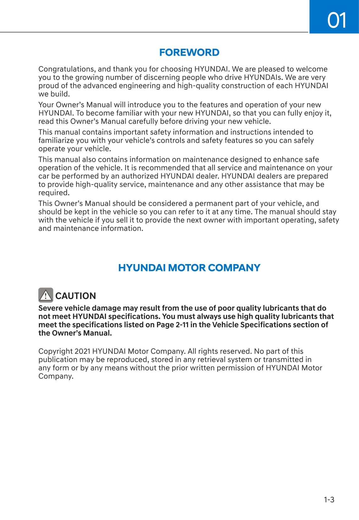 2021-2023 Hyundai Ioniq 5 Manuel du propriétaire | Anglais