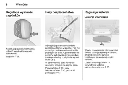 2012-2013 Opel Ampera Bedienungsanleitung | Polnisch