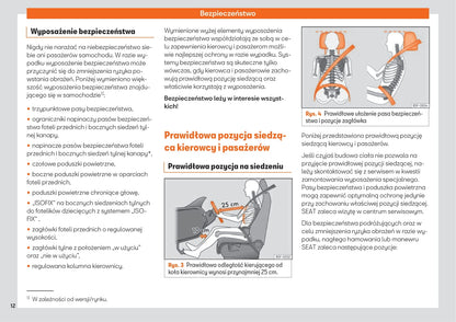 2017-2020 Seat Arona Bedienungsanleitung | Polnisch