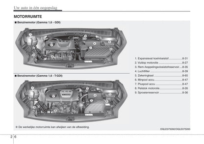 2019-2020 Kia Sportage Bedienungsanleitung | Niederländisch