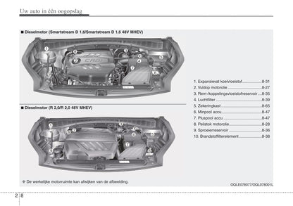 2019-2020 Kia Sportage Gebruikershandleiding | Nederlands