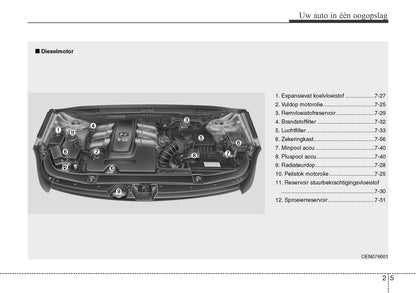 2009-2010 Hyundai ix55 Owner's Manual | Dutch